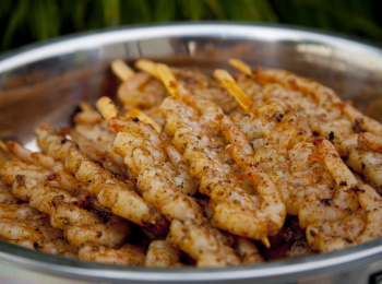 CATERING